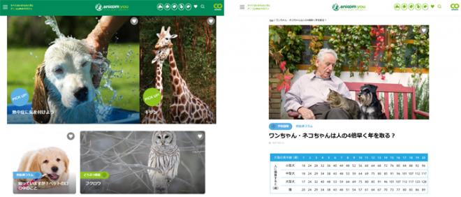 クロス・コミュニケーション、アニコム ホールディングスの 情報提供サイトを開発・制作
