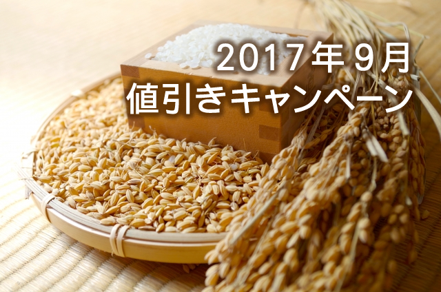 キャンペーン開催のお知らせ 『レジャーや行楽！秋の消費を盛り上げる人気ノベルティ特集』