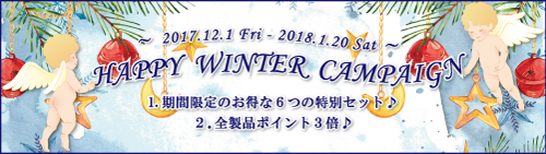 キャメロン＆ガブリエル「HAPPY WINTER CAMPAIGN 2017-2018♪」のご案内