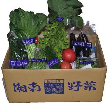 ECナビ湘南ラボ、藤沢市の学生、地域、農家と共に「湘南野菜」の直販サイト「野菜deえがお」を開設