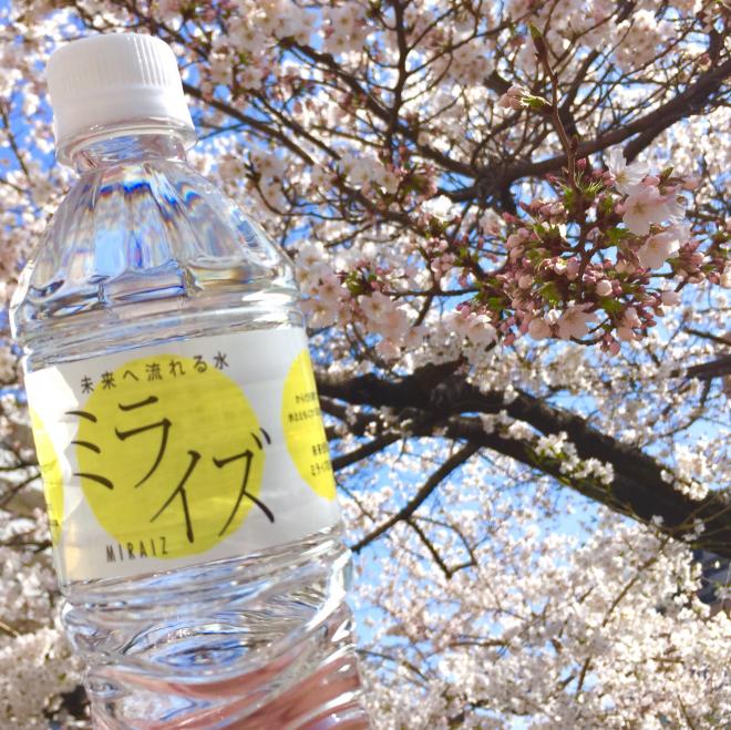 桜満開の芦屋浜を舞台に、「2018ユニセフカップ芦屋さくらファンラン」を『ミライズ』が応援！