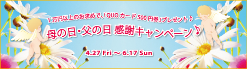 キャメロン＆ガブリエル「QUOカードプレゼント♪ 母の日・父の日 感謝キャンペーン♪」のご案内