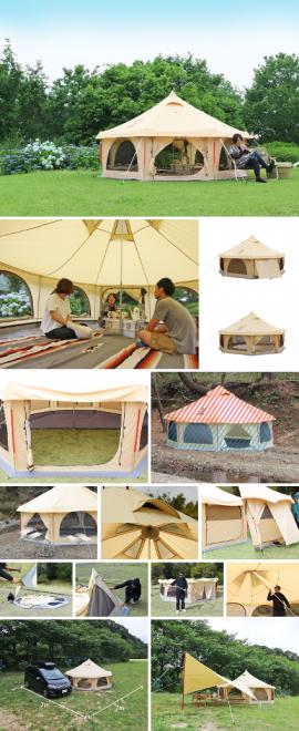 今年の夏は、小さいタケノコがキャンプ場にたくさんにょきにょき