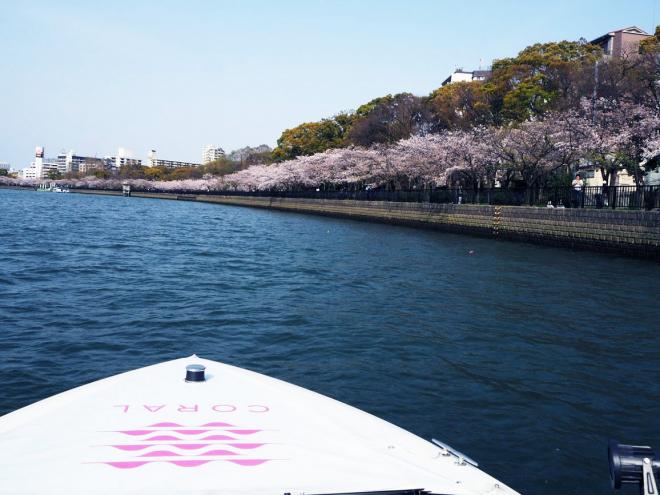 期間限定スペシャル企画 水上から桜を楽しむ！よくばりクルージングプラン