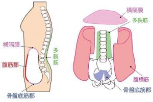 繰り返す腰痛でお悩みの方へ