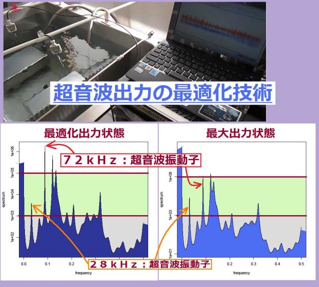 超音波出力の最適化技術を開発