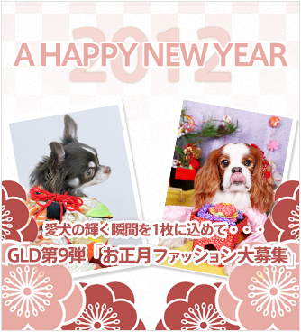 ドッグ情報サイト「SWEETA」 愛犬ファッションコンテスト『GLD』 第9弾グランプリ発表！ 