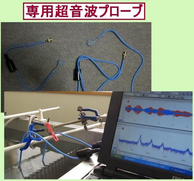 新しい超音波プローブの対応（製造・販売）開始