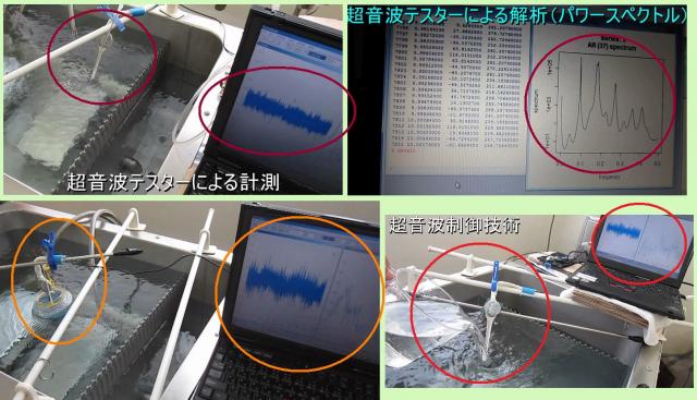 超音波計測装置（超音波テスター）を利用した測定事例