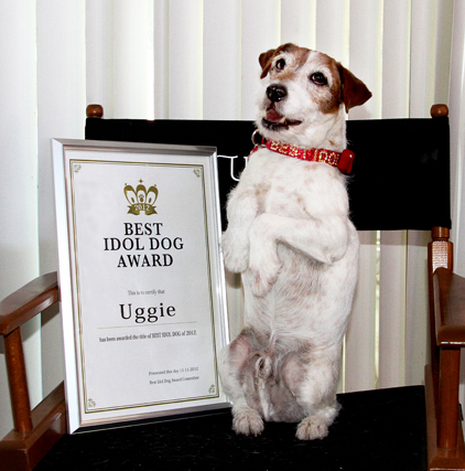 映画「アーティスト」の『Uggie（アギー）』を 『ベストアイドルドッグ2012』に認定