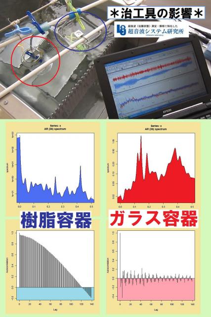 超音波コンサルティング