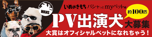 ペット写真共有SNS「パシャっとmyペット」と雑誌「いぬのきもち」が共同企画