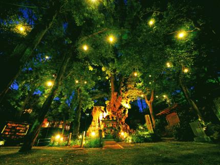 樹齢2000年の天然記念物『来宮神社』大楠前で中秋の名月に行う、ヨガ×アートの新イベント