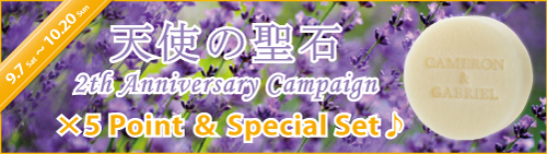 キャメロン&ガブリエル「天使の聖石 発売2周年記念キャンペーン♪」実施のご案内
